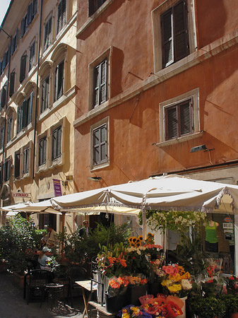 Blumen in der Altstadt Foto 