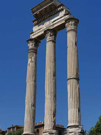 Foto Dioskurentempel - Rom