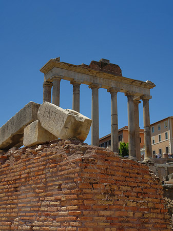 Rostra Fotos