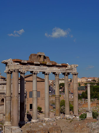 Rostra Fotos