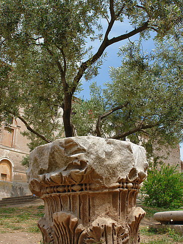 Foto Säule - Rom