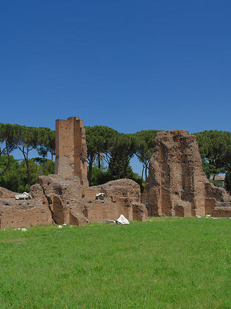 Ruinen am Apollo Tempel Fotos