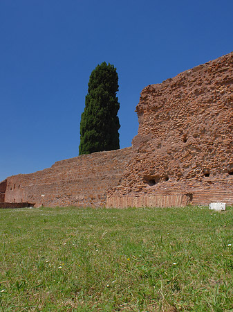 Foto Palatin