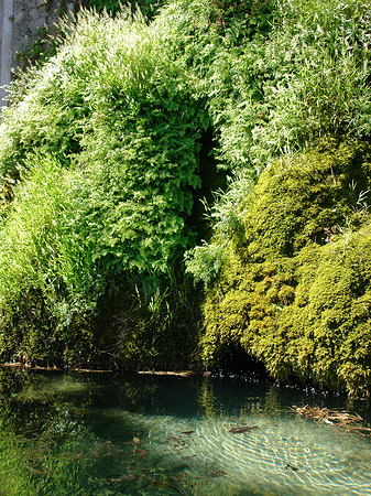 Fotos Wasser am Palatin