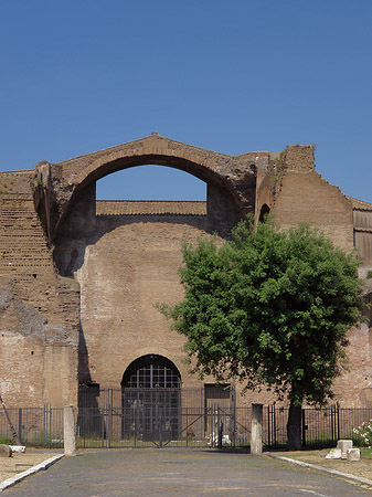 Santa Maria degli Angeli Foto 