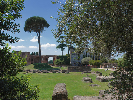 Domus Augustana und das Museo Palatino