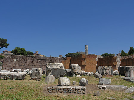 Fotos Basilica Aemilia
