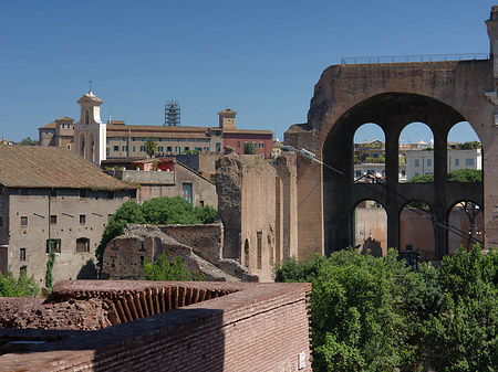 Fotos Blick auf das Forum Romanum