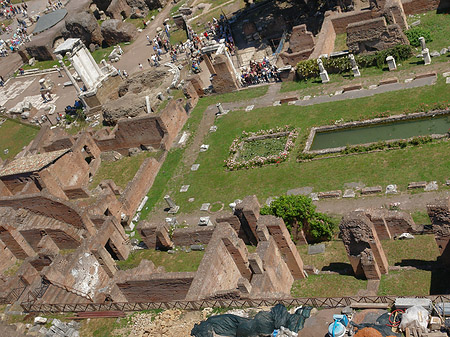 Blick auf das Forum Romanum Fotos