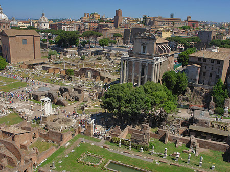 Blick auf das Forum Romanum Foto 