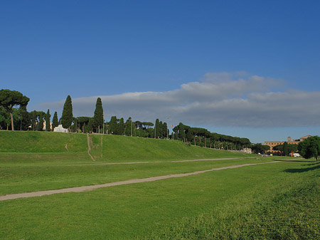 Foto Circus Maximus - Rom