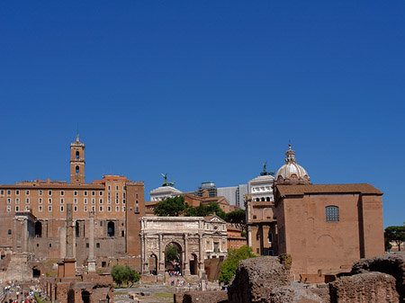 Curia Iulia