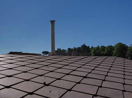 Fotos Dach am Forum Romanum