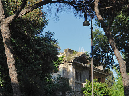 Fotos Forum Romanum | Rom