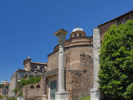 Tempel des Romulus Fotos