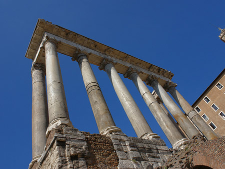 Rostra Foto 