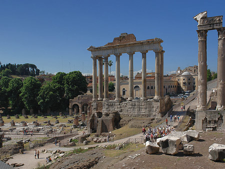 Rostra Fotos