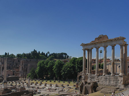 Foto Rostra - Rom