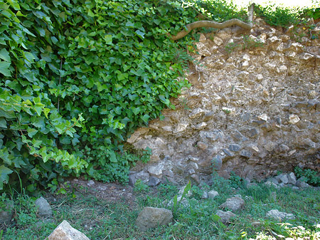Foto Steine im Forum Romanum - Rom