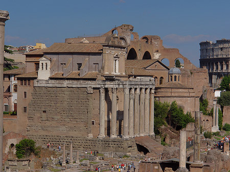 Tempel des Antoninus Pius und der Faustina Foto 