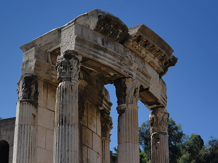 Fotos Tempel der Vesta
