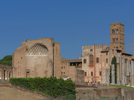Foto Tempel der Venus - Rom