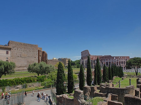 Foto Kolosseum mit dem Forum Romanum