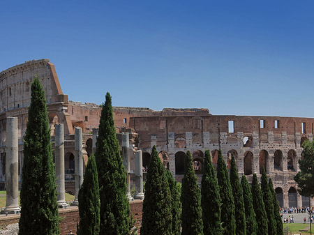 Kolosseum mit dem Forum Romanum Foto 