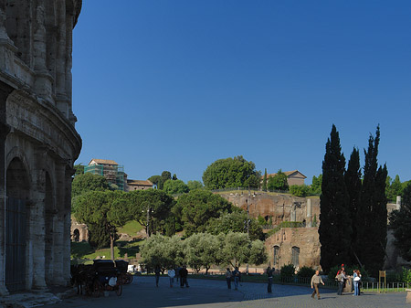 Foto Piazza del Colosseo - Rom
