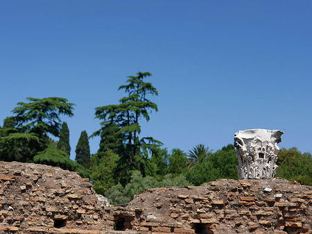 Fotos Ruinen am Apollo Tempel | Rom