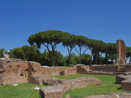 Foto Ruinen am Apollo Tempel - Rom