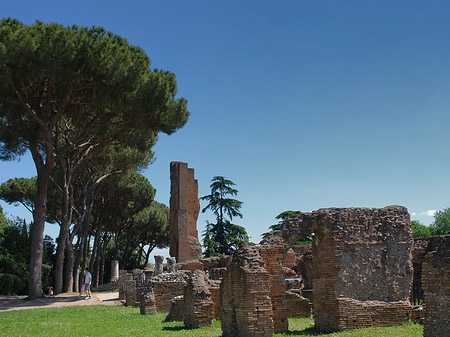 Ruinen am Apollo Tempel Fotos