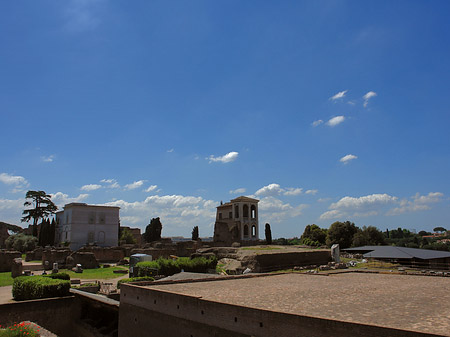 Fotos Ruinen mit Apollo Tempel | Rom