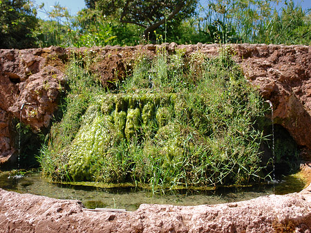 Brunnen am Palatin Fotos