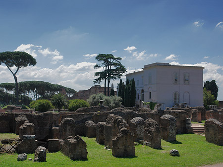 Palatin Museum