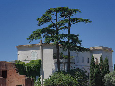 Palatin Museum Fotos