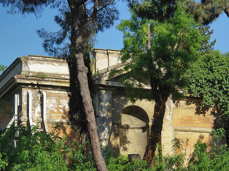 Palatin