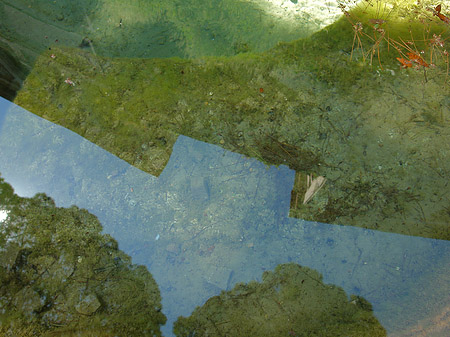 Wasser am Palatin Foto 