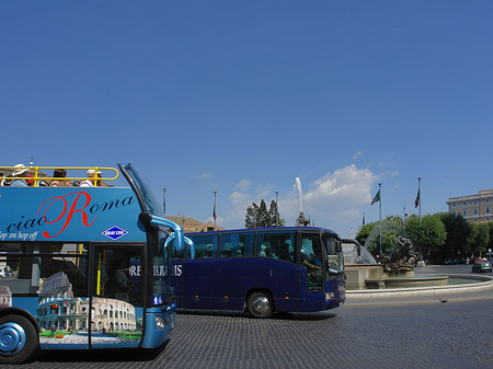 Busse Fotos