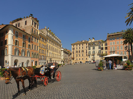 Pferdekutsche auf der Piazza die Spagna