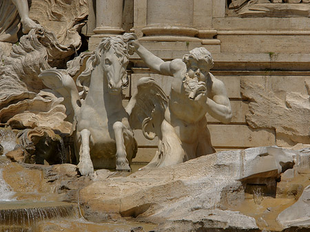 Foto Details am Trevibrunnen