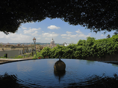 Fotos Brunnen